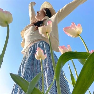 索命舞娘海报